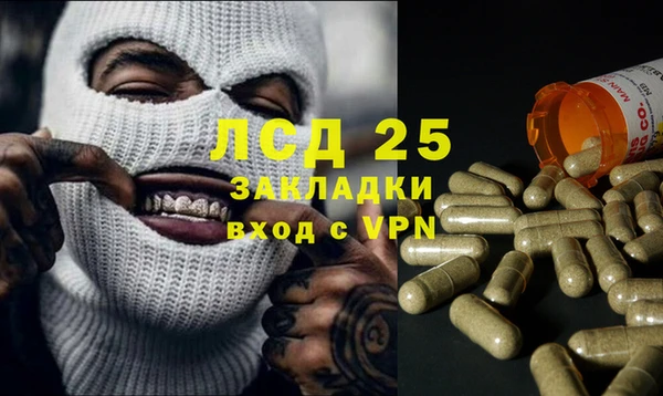 стаф Беломорск